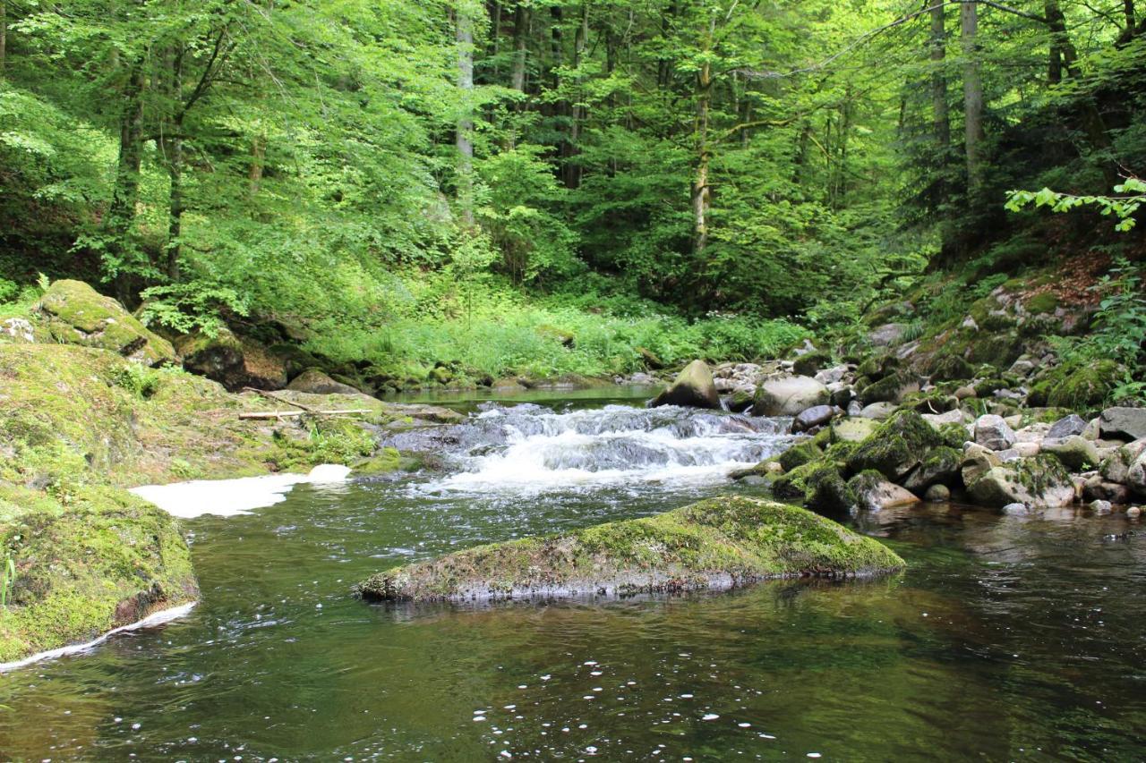 Ferienwohnung Hofleben Reiner Neukirchen vorm Wald Exterior photo